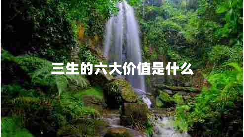 三生的六大價值是什么