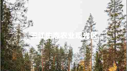 三江生態(tài)農(nóng)業(yè)觀光區(qū)