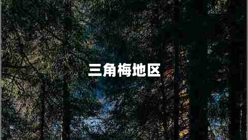 三角梅地區(qū) 三角梅地區(qū)