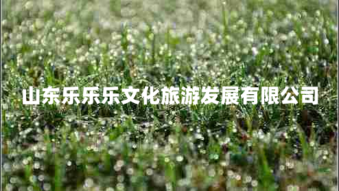 山東樂樂樂文化旅游發(fā)展有限公司