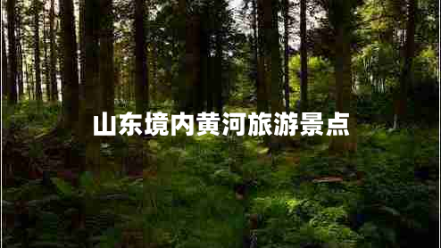 山東境內(nèi)黃河旅游景點
