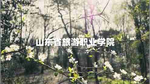 山東省旅游職業(yè)學(xué)院