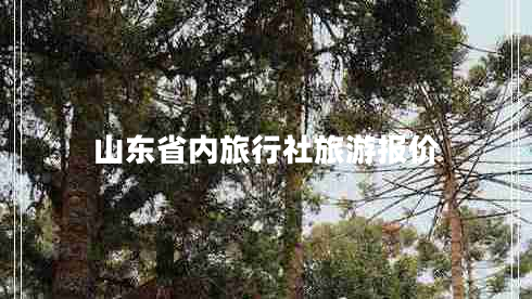 山東省內(nèi)旅行社旅游報(bào)價(jià)
