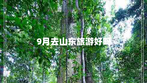 9月去山東旅游好嗎