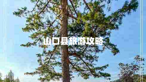 山口縣旅游攻略 山口縣旅游攻略
