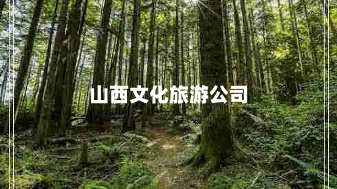 山西文化旅游公司 山西文化旅游公司
