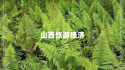 山西旅游經(jīng)濟