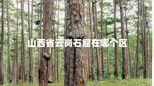 山西省云崗石窟在哪個區(qū)