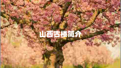 山西古樓簡(jiǎn)介