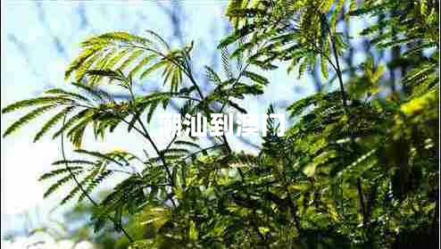 潮汕到澳門(mén)