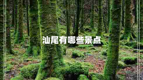 汕尾有哪些景點(diǎn) 汕尾有哪些景點(diǎn)