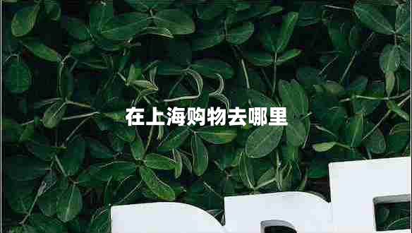在上海購物去哪里 在上海購物去哪里