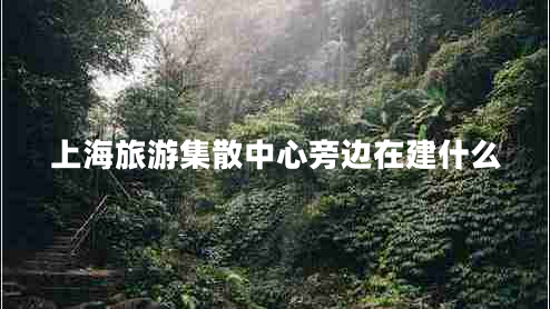 上海旅游集散中心旁邊在建什么