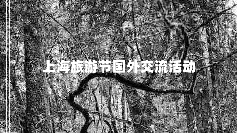 上海旅游節(jié)國外交流活動