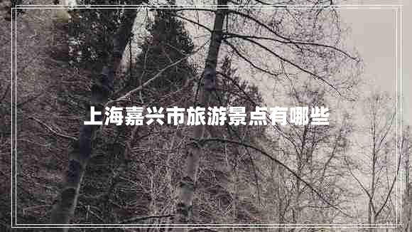 上海嘉興市旅游景點有哪些