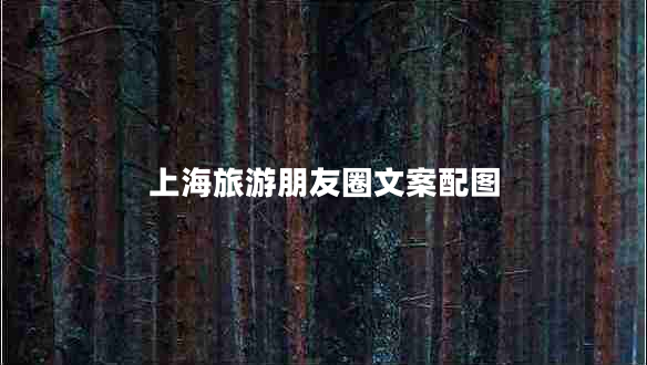 上海旅游朋友圈文案配圖