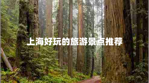 上海好玩的旅游景點(diǎn)推薦