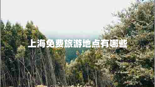 上海免費旅游地點有哪些