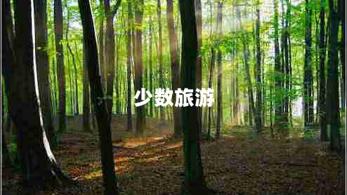 少數(shù)旅游