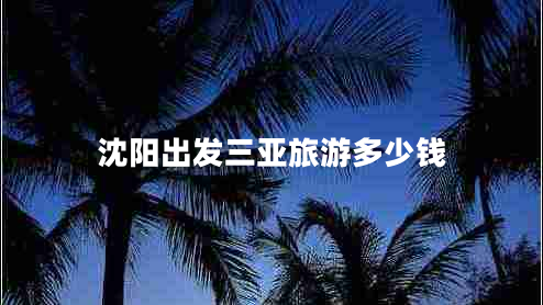沈陽出發(fā)三亞旅游多少錢 沈陽出發(fā)三亞旅游多少錢