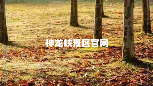 神龍峽景區(qū)官網(wǎng)