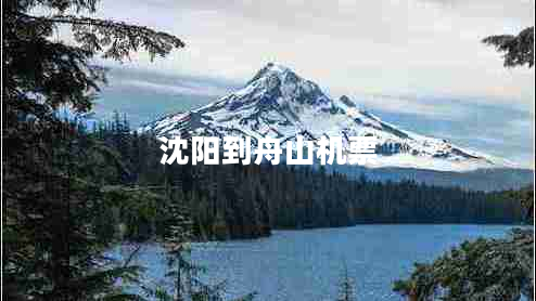 沈陽到舟山機(jī)票