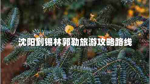 沈陽到錫林郭勒旅游攻略路線