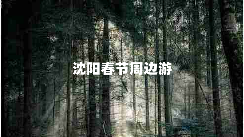 沈陽(yáng)春節(jié)周邊游