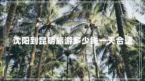 沈陽到昆明旅游多少錢一天合適