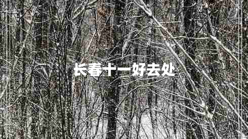 長(zhǎng)春十一好去處 長(zhǎng)春十一好去處