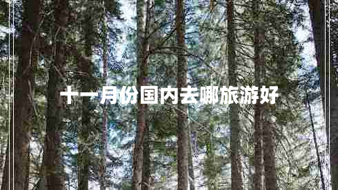 十一月份國(guó)內(nèi)去哪旅游好 十一月份國(guó)內(nèi)去哪旅游好
