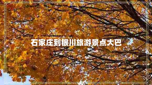 石家莊到銀川旅游景點(diǎn)大巴