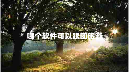 哪個軟件可以跟團旅游