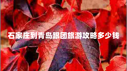 石家莊到青島跟團旅游攻略多少錢