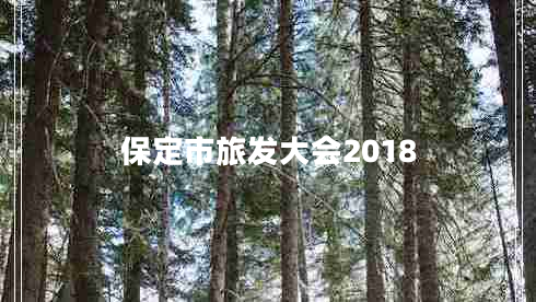 保定市旅發(fā)大會2018