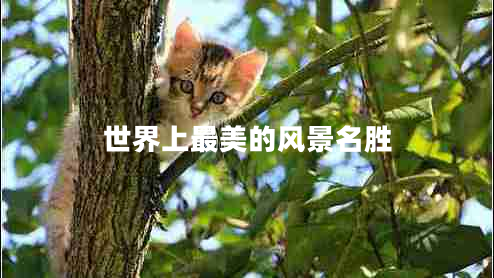 世界上最美的風(fēng)景名勝