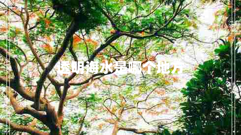 透明海水是哪個地方 透明海水是哪個地方