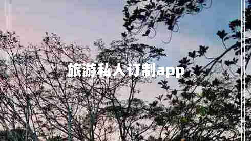 旅游私人訂制app