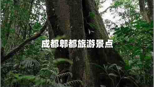 成都郫都旅游景點