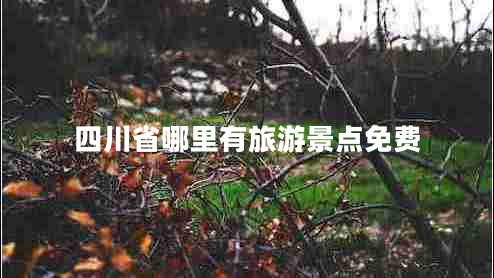 四川省哪里有旅游景點(diǎn)免費(fèi)