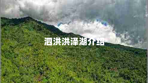 泗洪洪澤湖介紹