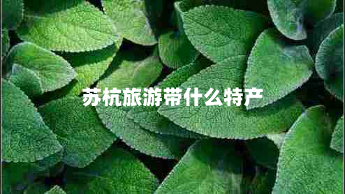 蘇杭旅游帶什么特產(chǎn) 蘇杭旅游帶什么特產(chǎn)