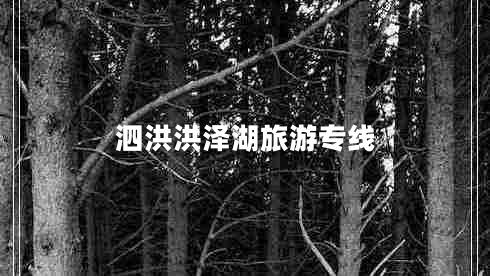 泗洪洪澤湖旅游專線