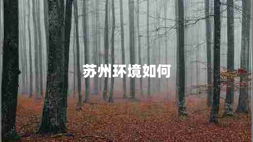 蘇州環(huán)境如何