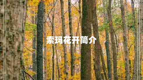 索瑪花開簡(jiǎn)介 索瑪花開簡(jiǎn)介