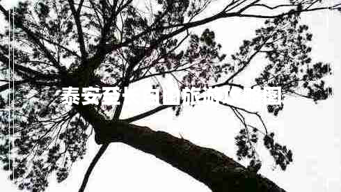 泰安至長白山旅游攻略圖