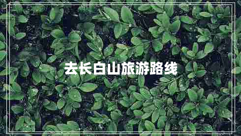 去長(zhǎng)白山旅游路線