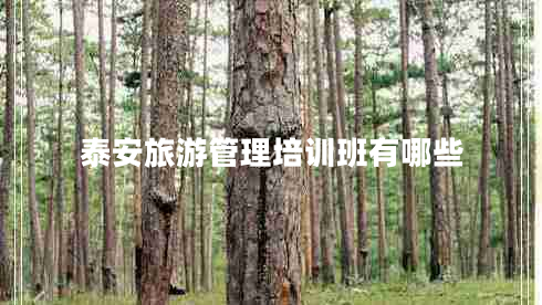 泰安旅游管理培訓(xùn)班有哪些