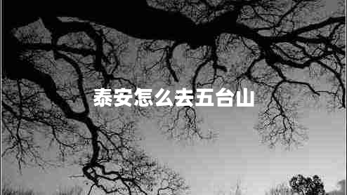 泰安怎么去五臺山