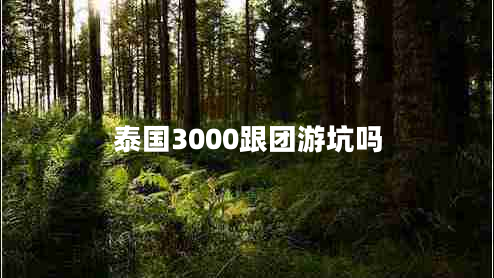 泰國3000跟團游坑嗎